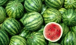 今日吃瓜在哪下载,揭秘“在哪下载”的便捷之旅